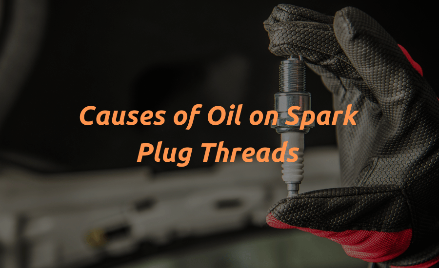 oil on spark plug